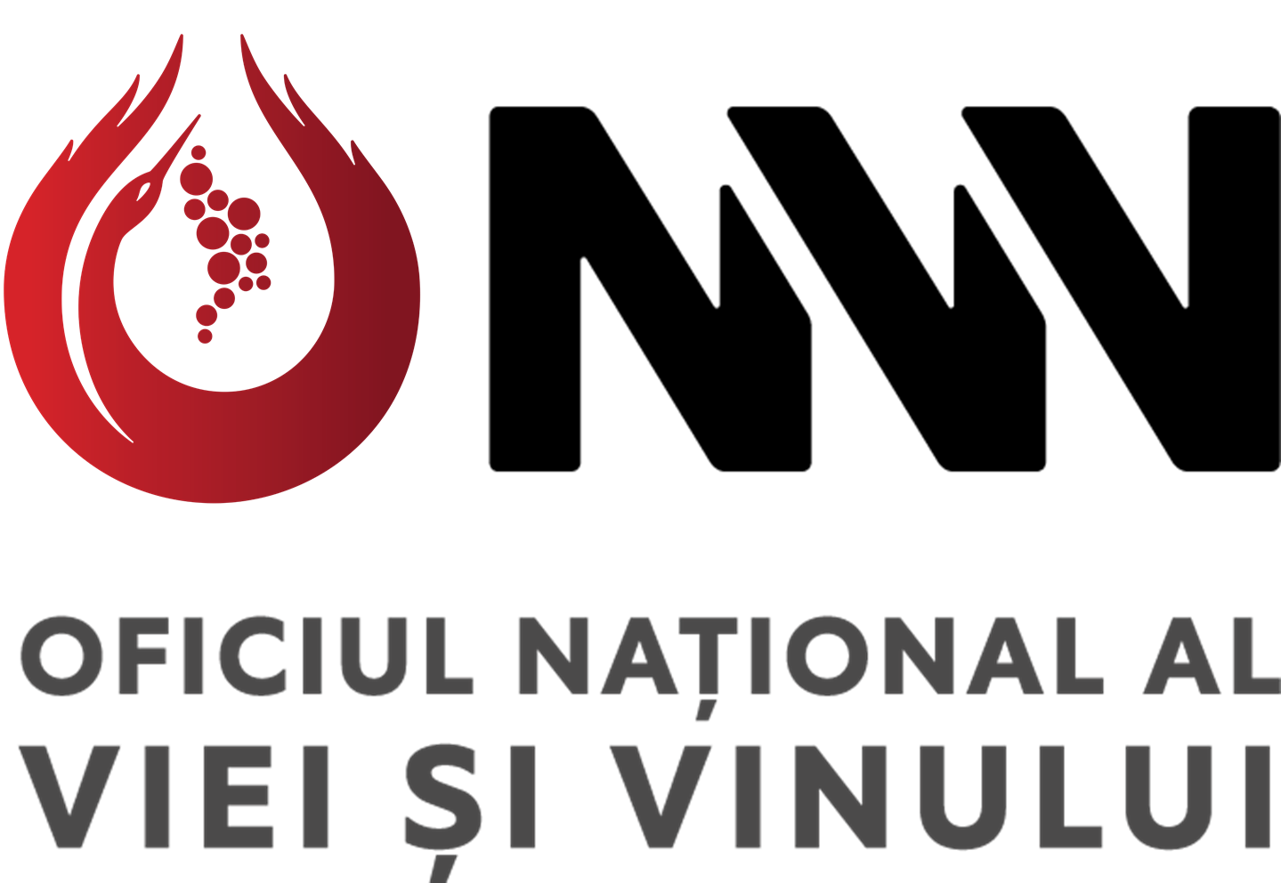 cropped-ONVV_Logo-Vertical-Ro